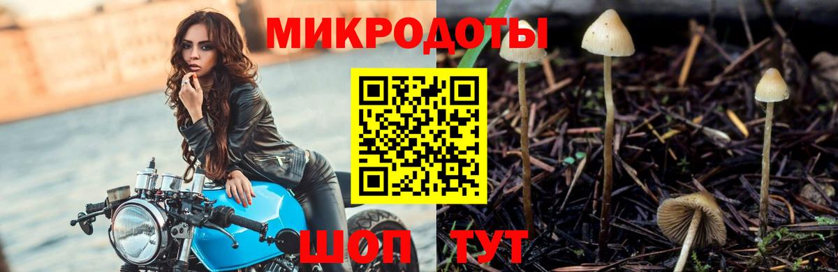 Алексин  Галлюциногенные грибы MAGIC MUSHROOMS  Галлюциногенные грибы ЛСД  закладки  Вход с VPN 